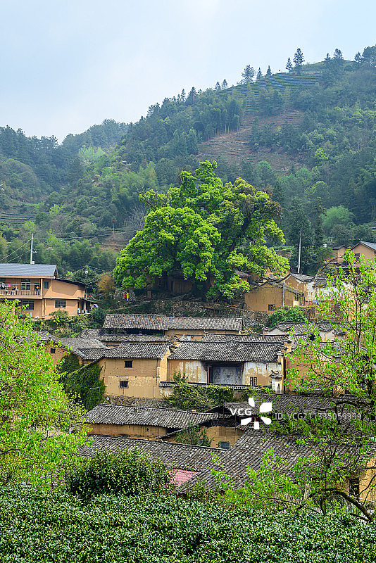 浙江丽水松阳杨家堂村. 被中国国家地理评为最后的江南秘境图片素材