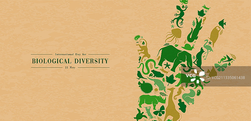 绿色野生动物图标手势概念图片素材