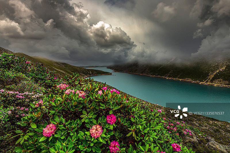 白玛林措图片素材