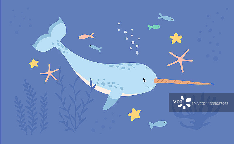 海洋中的可爱独角鲸图片素材