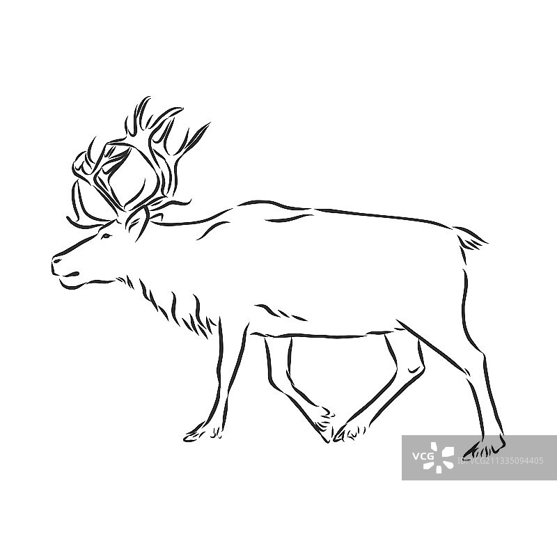 手绘北欧极地驯鹿插画图片素材