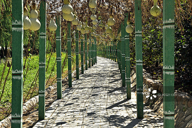 河北省石家庄市平山县东方巨龟苑图片素材