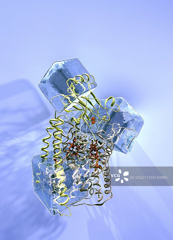 细胞色素aa3研究概念图图片素材
