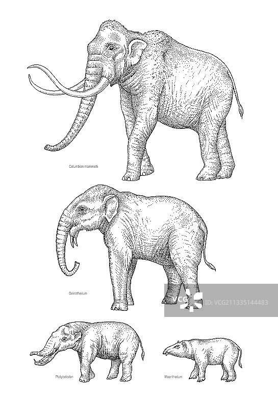 大象进化艺术作品图片素材
