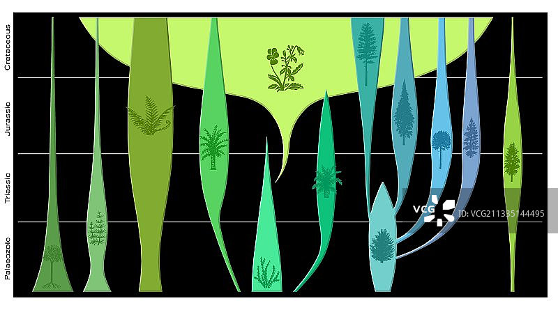 植物进化图图片素材