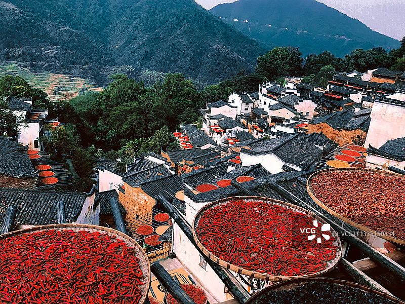白天国庆婺源的秋天大丰收正在晒辣椒图片素材