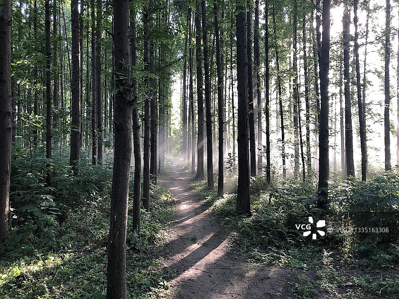 湖北省襄阳市图片素材