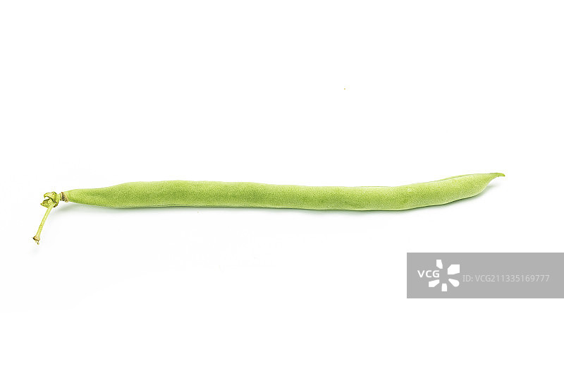 四季豆图片素材