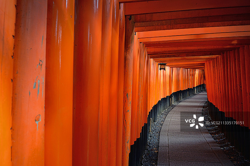 伏见稻荷神社图片素材