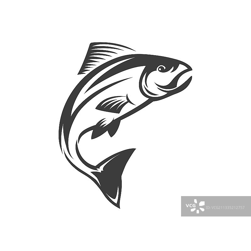 普通鲭鱼，鲭科鱼类，钓鱼运动吉祥物图片素材