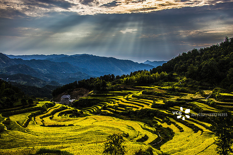 蕲春县雾云山梯田景观图片素材