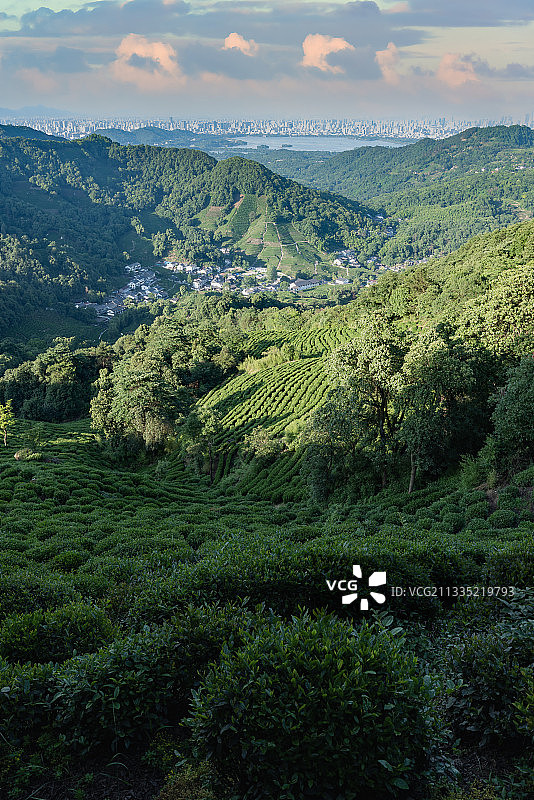 浙江杭州西湖图片素材