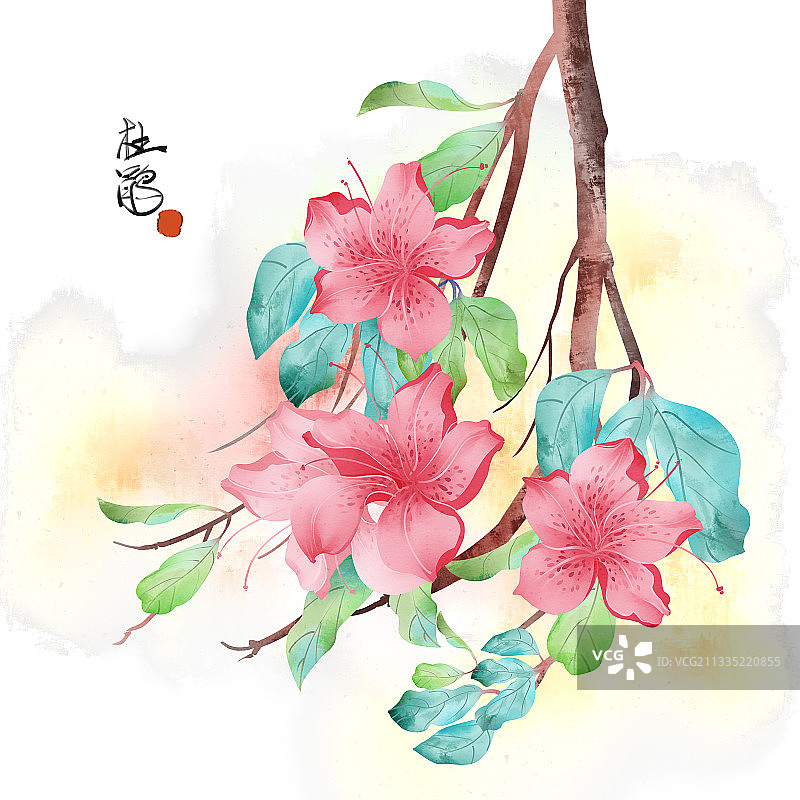 中国风水彩花卉杜鹃花插画图片素材