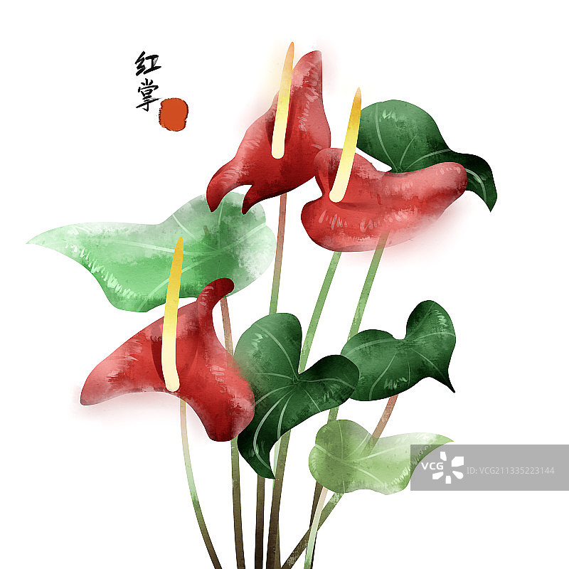 中国风红掌花花卉插画元素图片素材