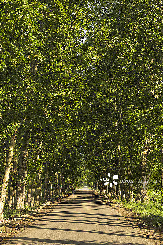 林间公路图片素材