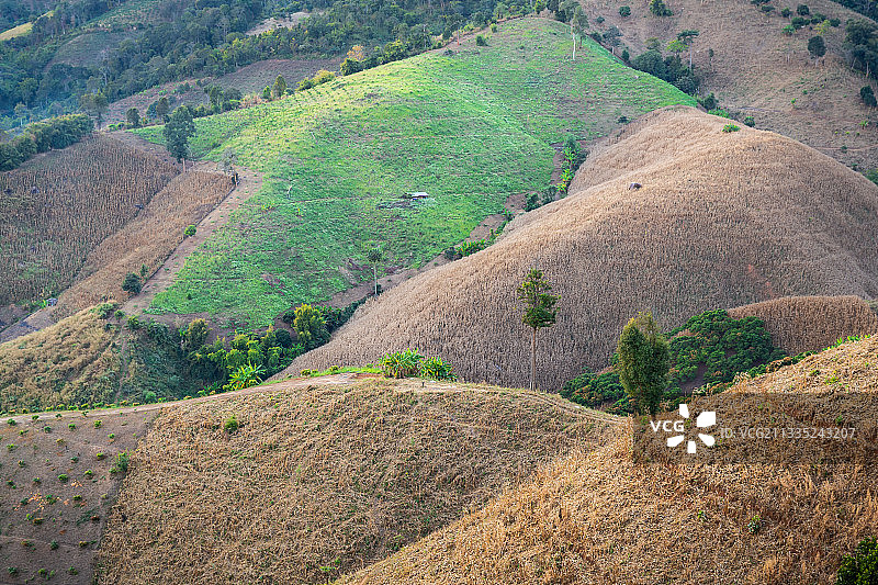 高角度视角的农业领域图片素材