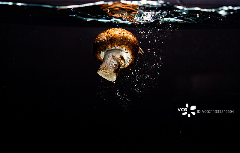 水母在海里游泳的特写图片素材