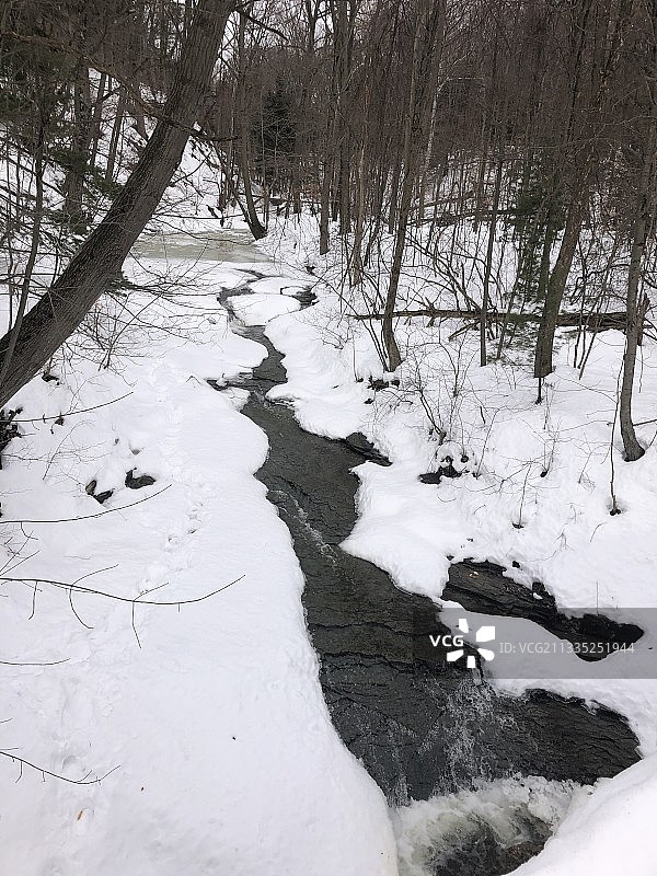 冬季美国阿勒格尼州立公园的河流树木景色图片素材