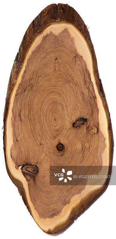 白色背景上的木材特写图片素材