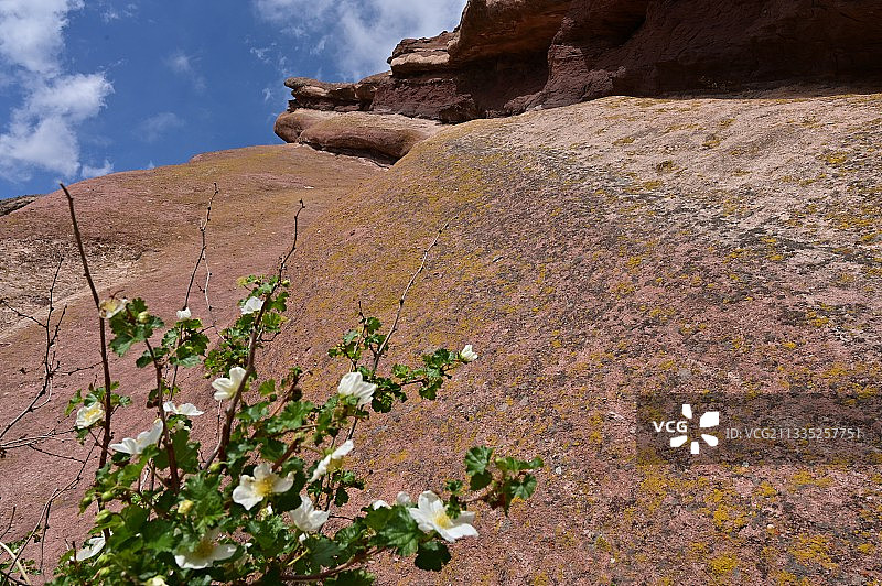美国科罗拉多州莫里森的岩层仰视图片素材