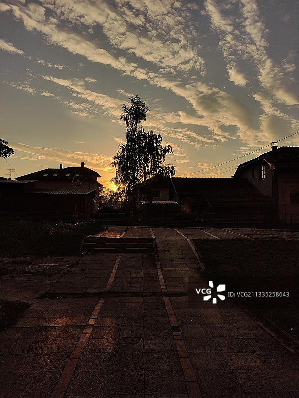 日落时分道路旁树木剪影图片素材