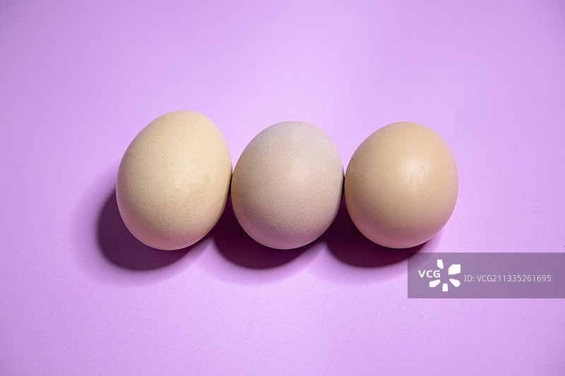 粉色背景鸡蛋特写，印度北阿坎德邦代赫拉敦图片素材