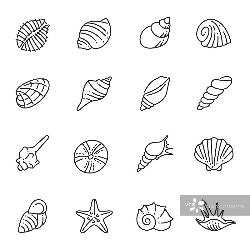 单色轮廓海螺贝壳线条图标图片素材