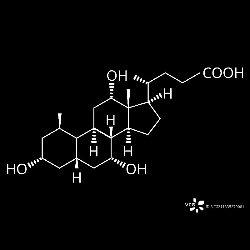 胆酸化学分子式图片素材