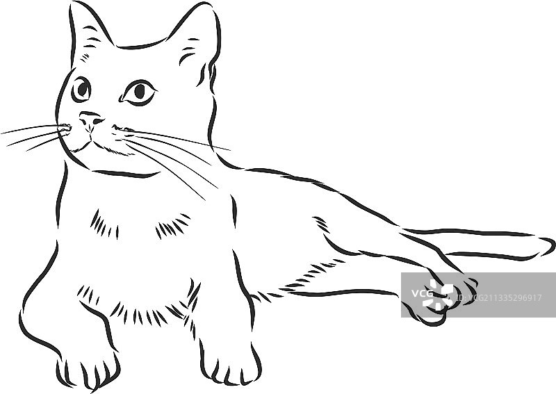 家猫逼真素描标志图片素材