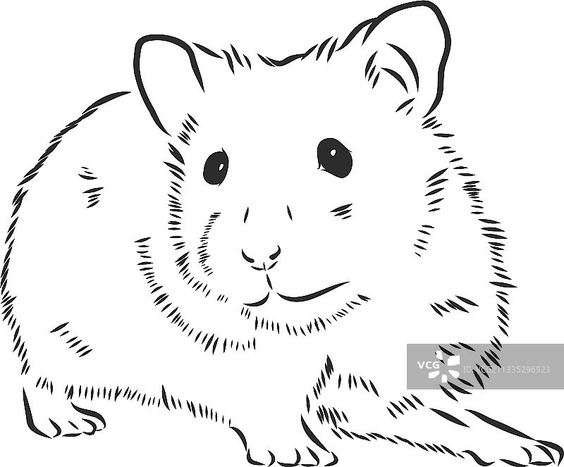 可爱的仓鼠宠物素描图片素材