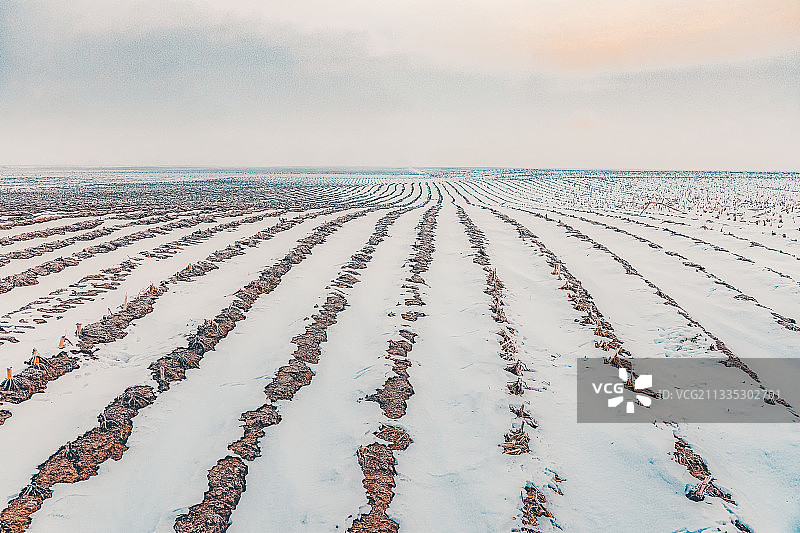白雪覆盖的田梗图片素材