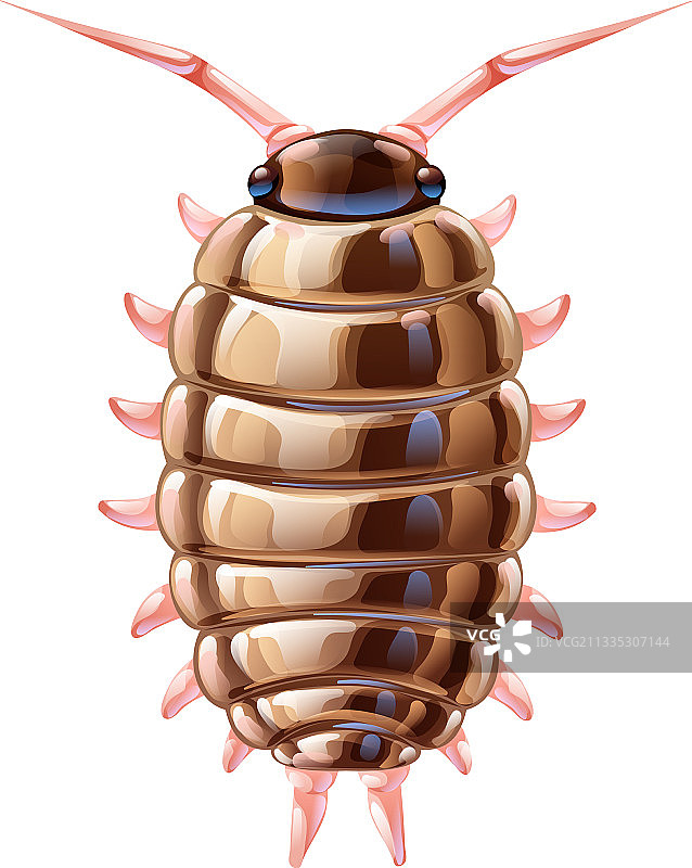 卡通风格的可爱鼠妇图片素材