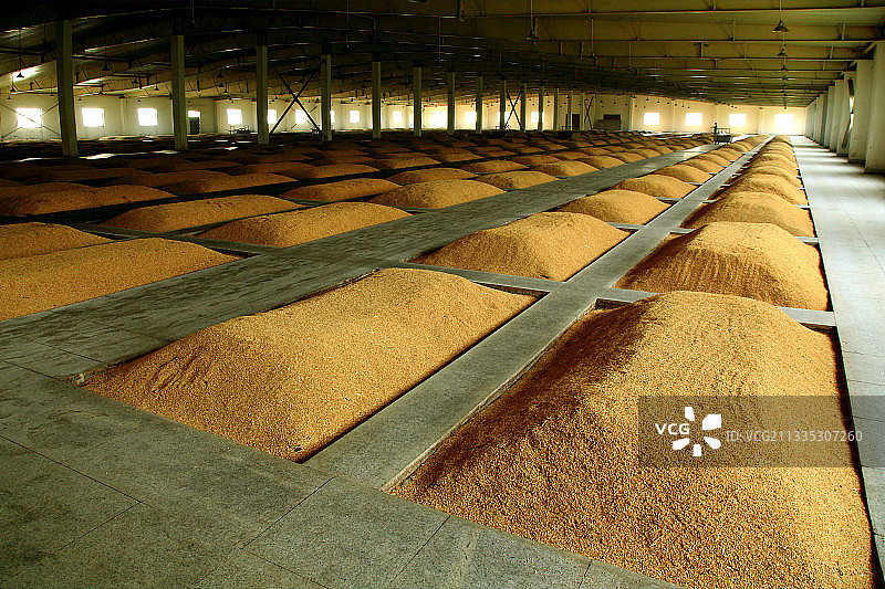 粮食酿酒厂 酒窖图片素材