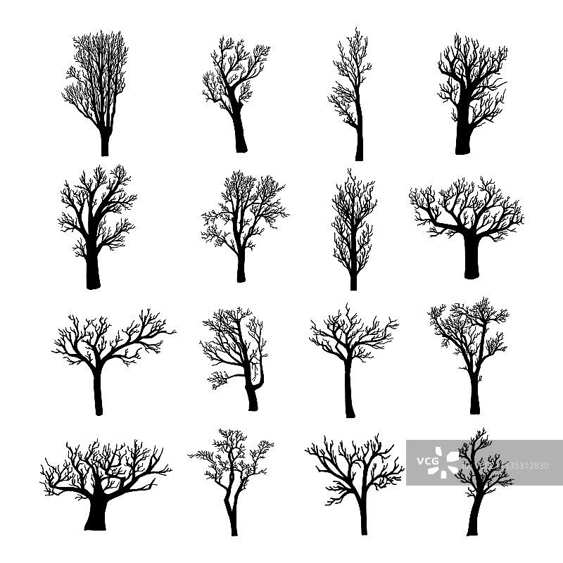 黑色剪影枯萎的树木图片素材