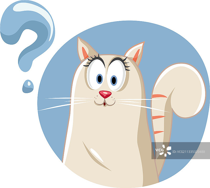 有疑问的有趣的猫图片素材