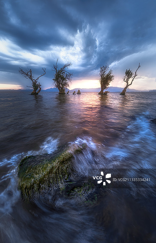 Night King图片素材