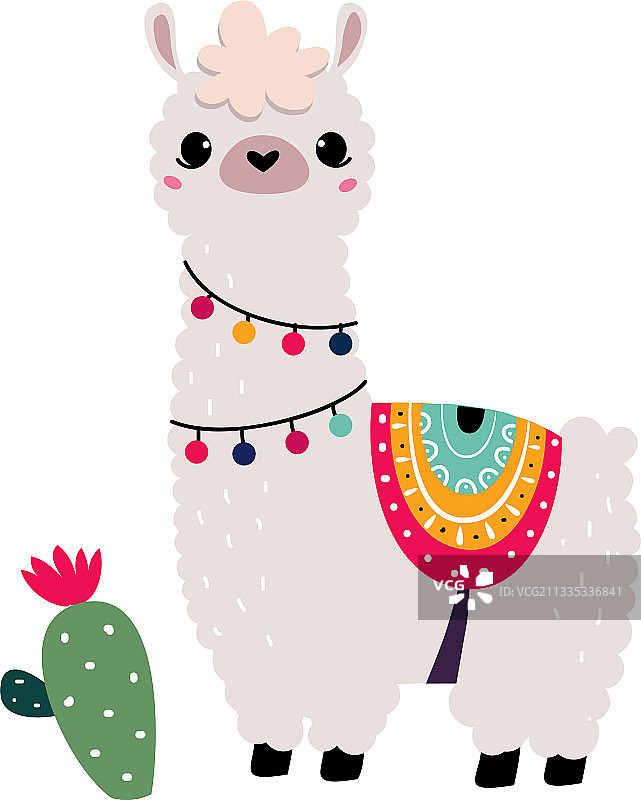 穿着针织衫的可爱羊驼图片素材