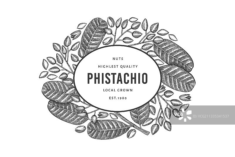 手绘开心果枝图片素材