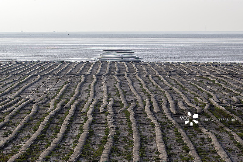 条子泥风光图片素材