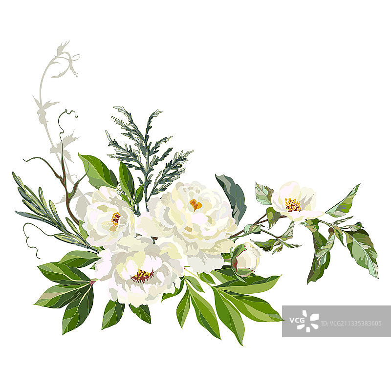 白色装饰牡丹与野草图片素材