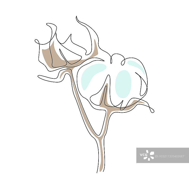 棉花连续单线艺术图片素材