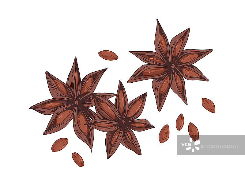 干燥的八角茴香图片素材