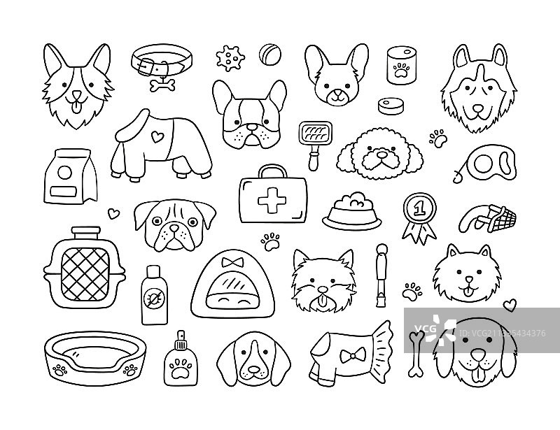 不同品种的狗和犬类头部图片素材