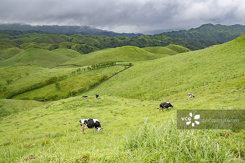 湖南邵阳南山牧场高山草甸农场图片素材