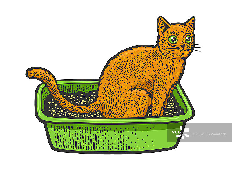 猫咪坐在猫砂盆上的简笔画图片素材