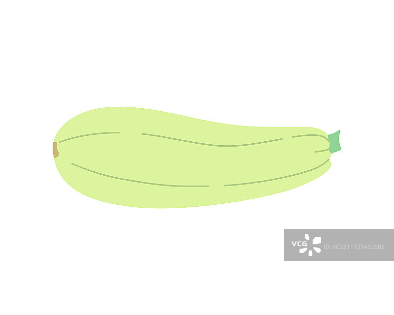 手绘可爱西葫芦，白色背景上孤立图片素材