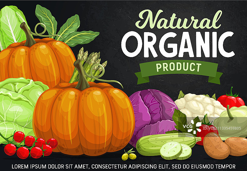 黑板上的蔬菜：新鲜农场蔬菜食品图片素材