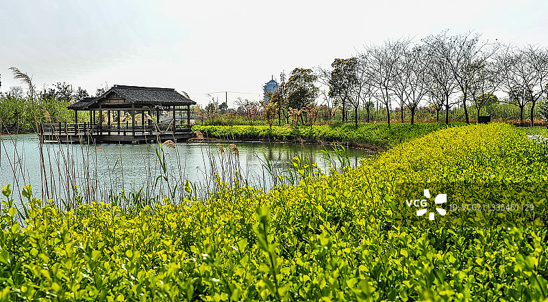《苏州太湖湿地公园》图片素材