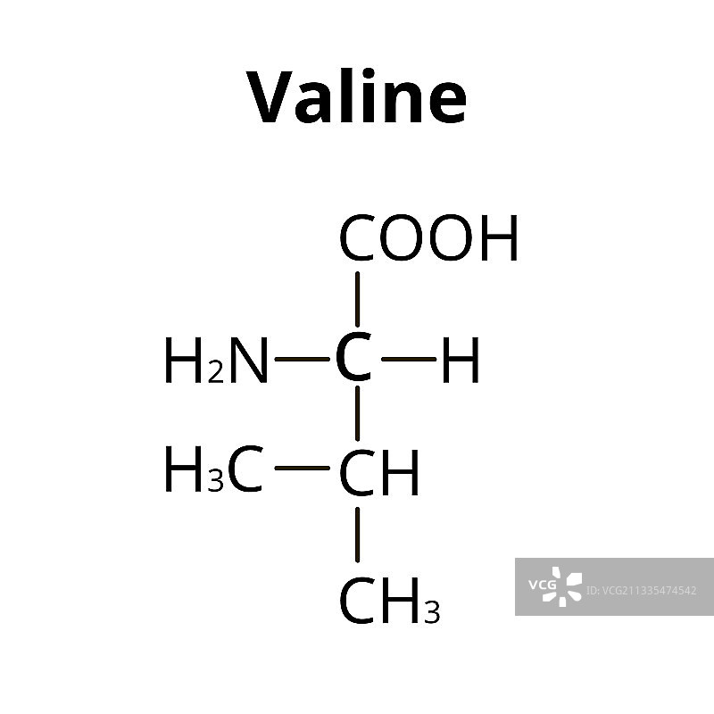 缬氨酸氨基酸化学分子式图片素材