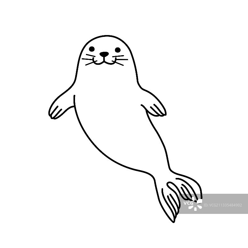 水中的毛皮海豹图片素材